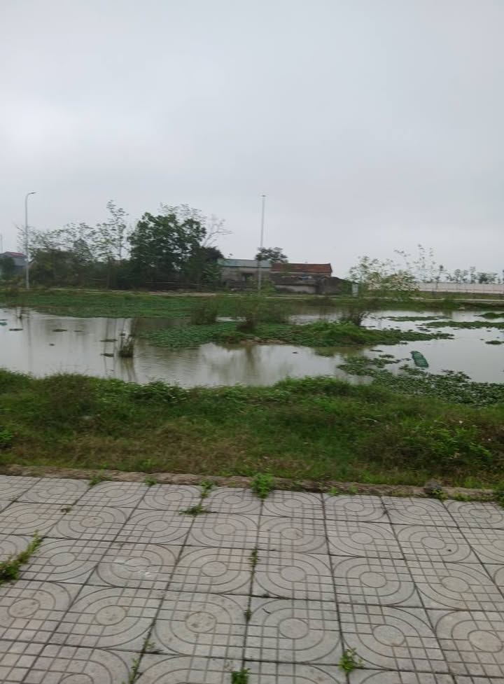 Đất nền Đông Vinh, TP Thanh Hóa 200m² - Xây dựng tự do!