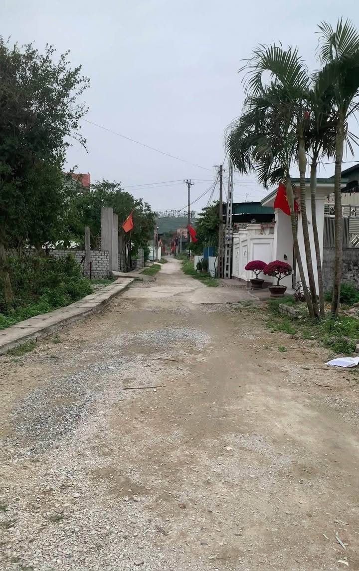 Đất nền Quỳnh Thiện Hoàng Mai 405m² - Sổ đỏ chính chủ, tiềm năng đầu tư!