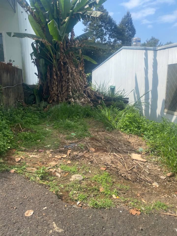 Bán đất 126m² hẻm 216 Phan Đình Phùng, Bảo Lộc - Giá 1.2 tỷ TL