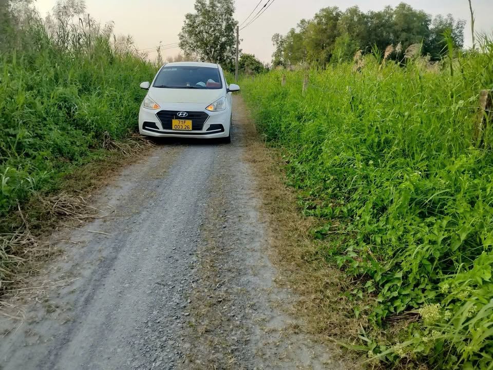 Đất Vườn Đức Hòa 1291m² - Sổ Hồng Rõ Ràng, Đầu Tư An Tâm!