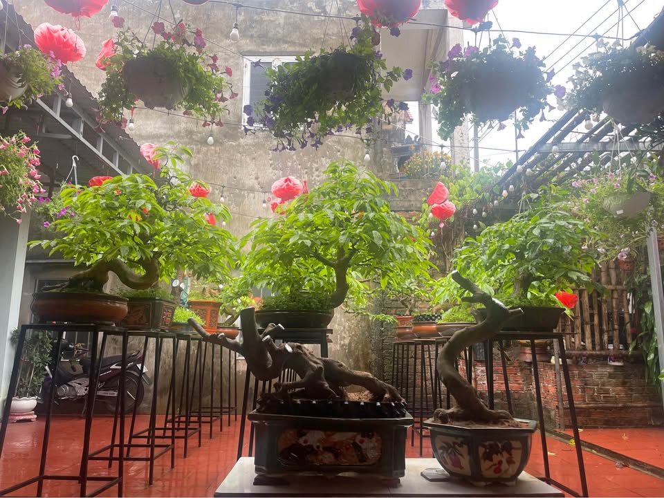 Đất Nền Thăng Bình - Sổ Hồng Sẵn Sàng 171m² - Gần KCN Trảng Nhật