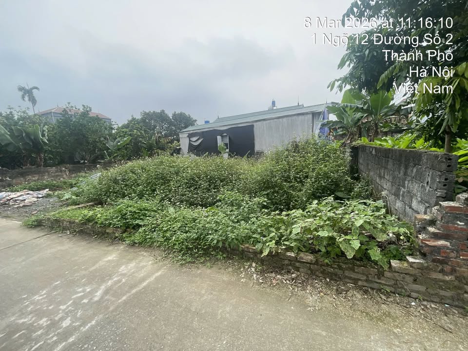 Đất Nền Hoạch An - Thanh Oai 77.4m² - Ô Tô Tải Thông, Sẵn Sàng Đầu Tư