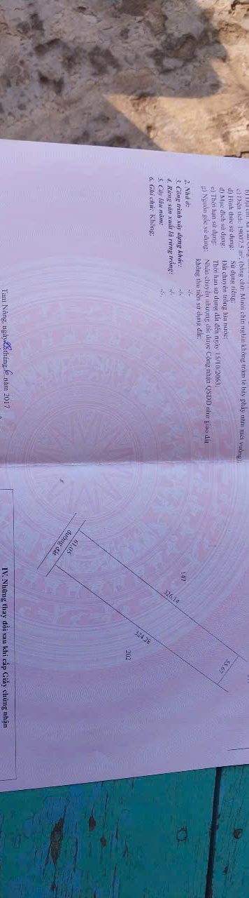 Đất Ruộng 232.000m² Tam Nông, Đồng Tháp - Tiềm Năng Tăng Giá Vượt Trội