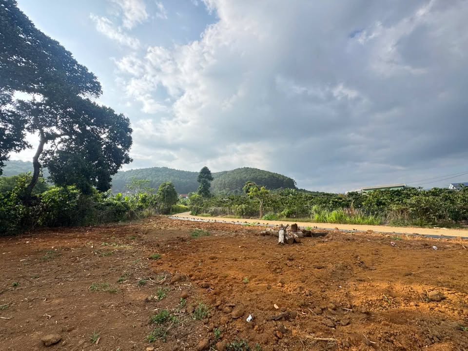 Đất nền Cam Ly Lâm Hà 130m² - Sổ đỏ chính chủ, sát Đà Lạt!