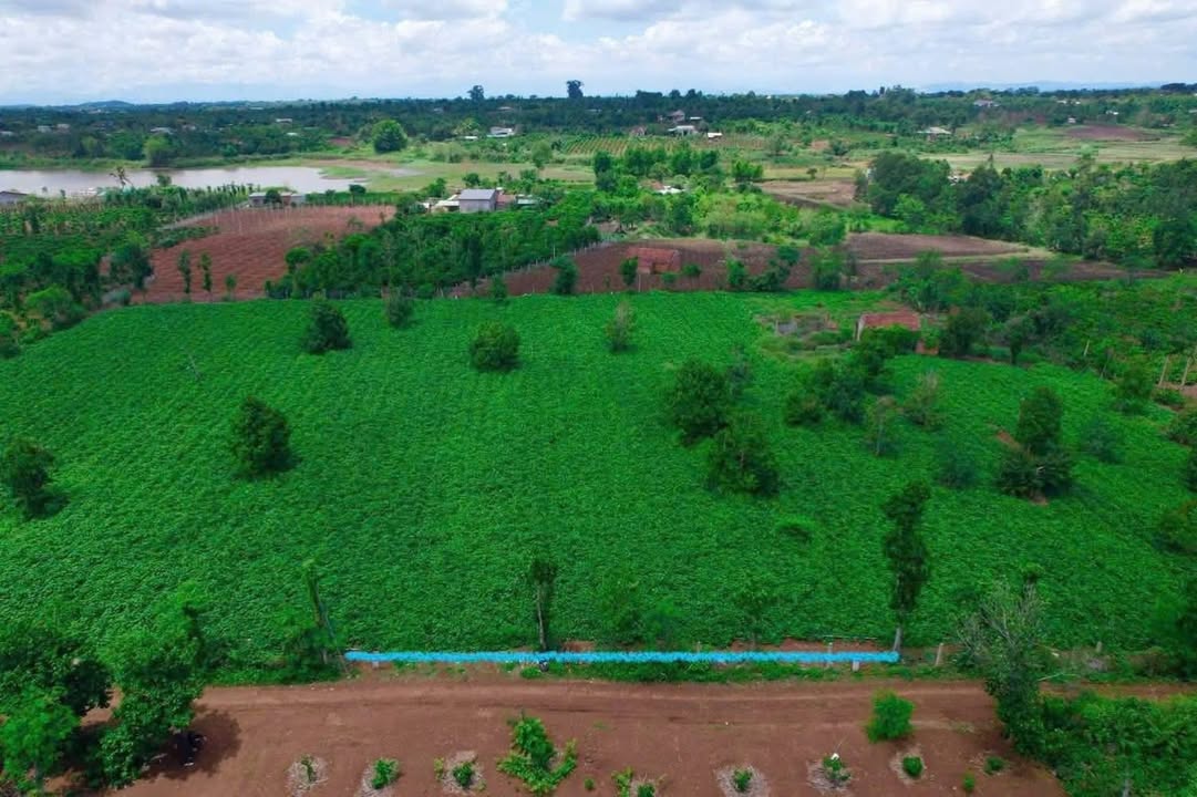 Đất Nền Phú Xuân Nhà Bè 1482m² - Sổ hồng chính chủ!