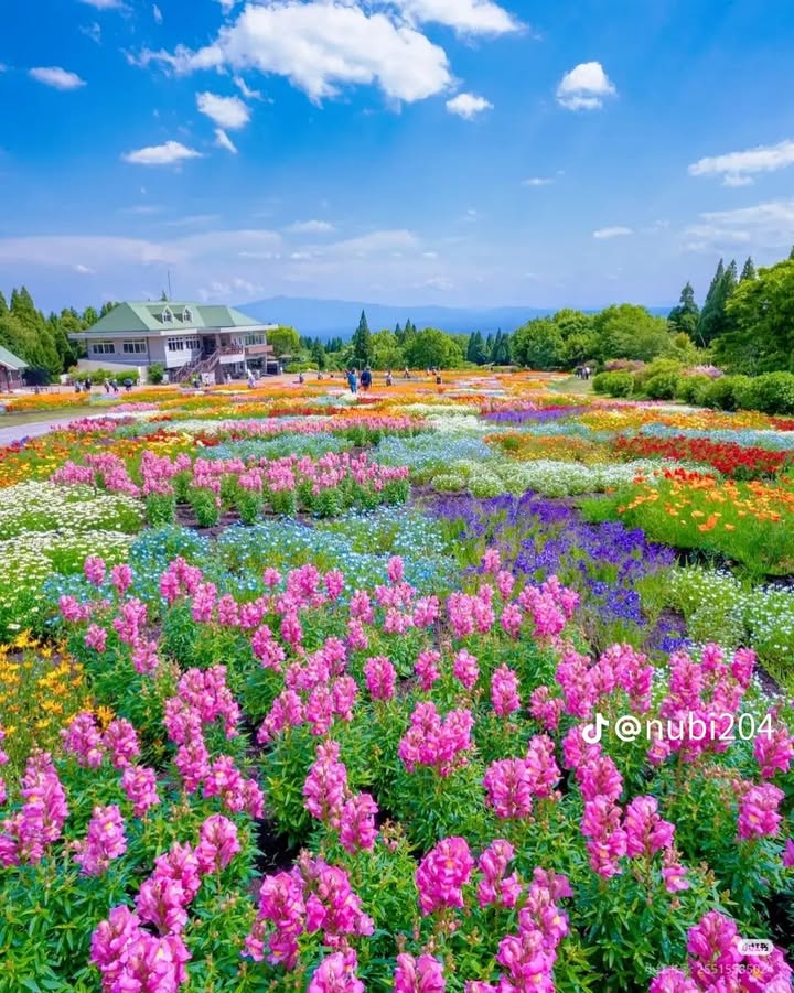 Đất Nền Hòa Hội, Củ Chi 750m² - Sổ Đỏ Sẵn Sàng, Giá F0 Chỉ 299 Triệu