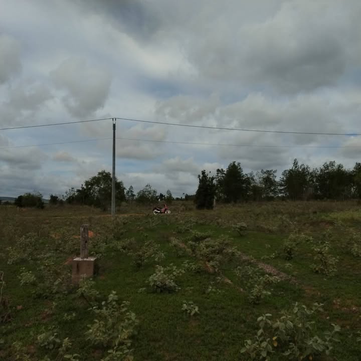 Bán đất 1187m² Thôn 7 Hàm Đức, Bình Thuận - Giá Rẻ 450 Triệu