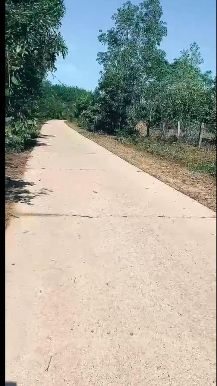 Đất Vườn Tánh Linh 80000m² - Sổ Đỏ Riêng, Kinh Doanh Cao Su Sinh Lời