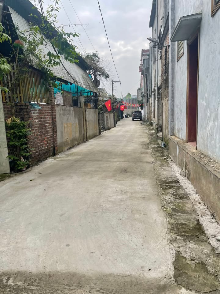 Bán Đất Vàng Trung Tâm Tân Kỳ - 320m² - Đường Thông, Dân Cư Đông Đúc