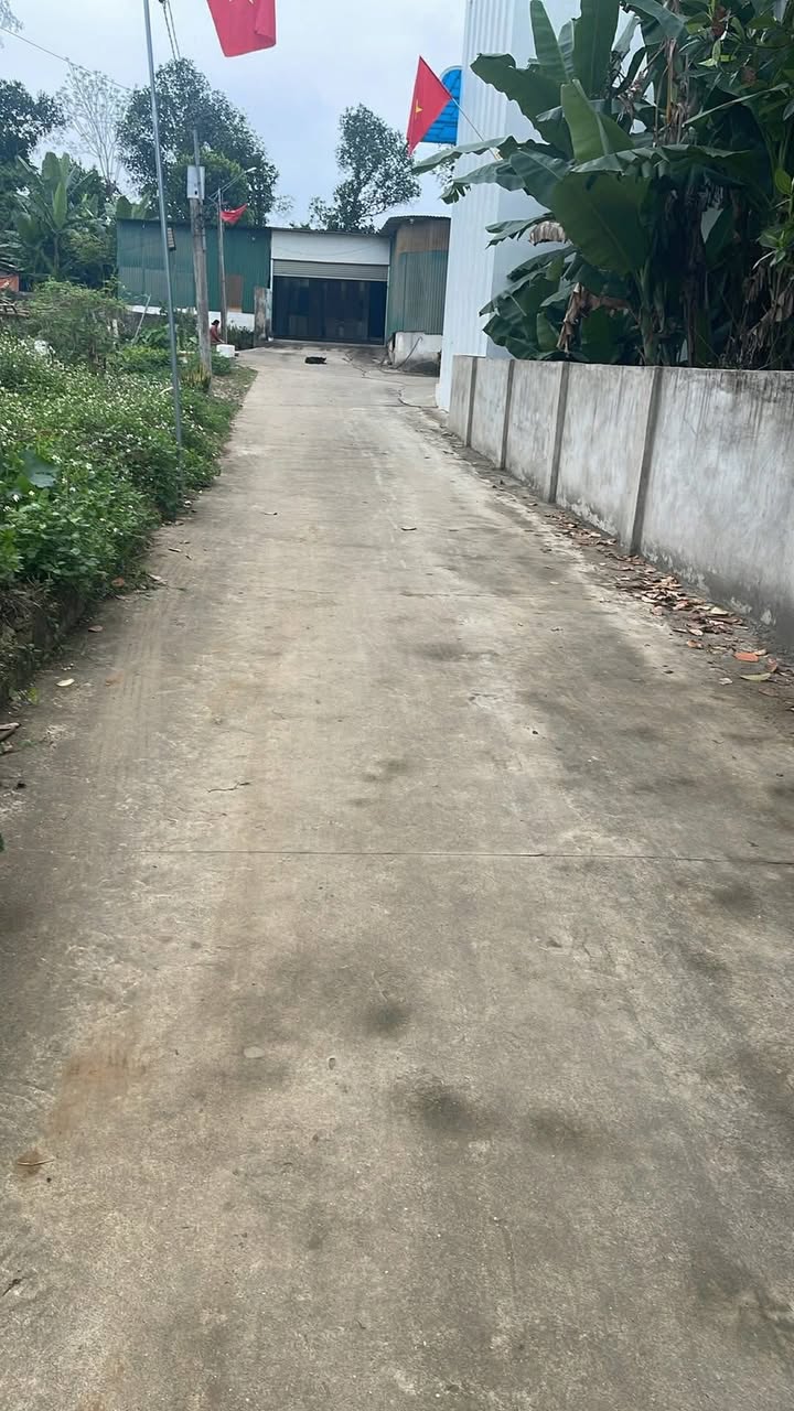 Đất nền Tân Phú, Tân Kỳ 225m² - Đường to ô tô, tiềm năng tăng giá!