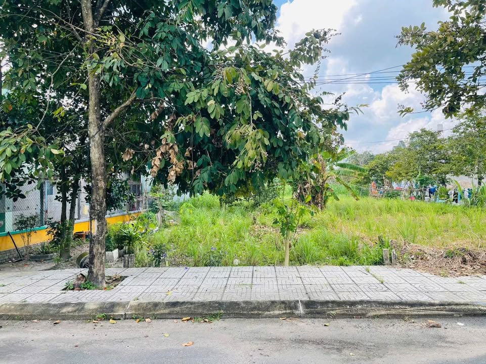 Đất Củ Chi 110m² Mặt Tiền Đường Số 218 - Sổ Hồng Riêng, Giá 2.5 Tỷ