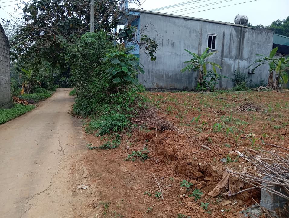 Bán Đất Tuyên Quang 300m² Hướng Nam - Mặt Tiền 9.5m, Sẵn Sổ Đỏ