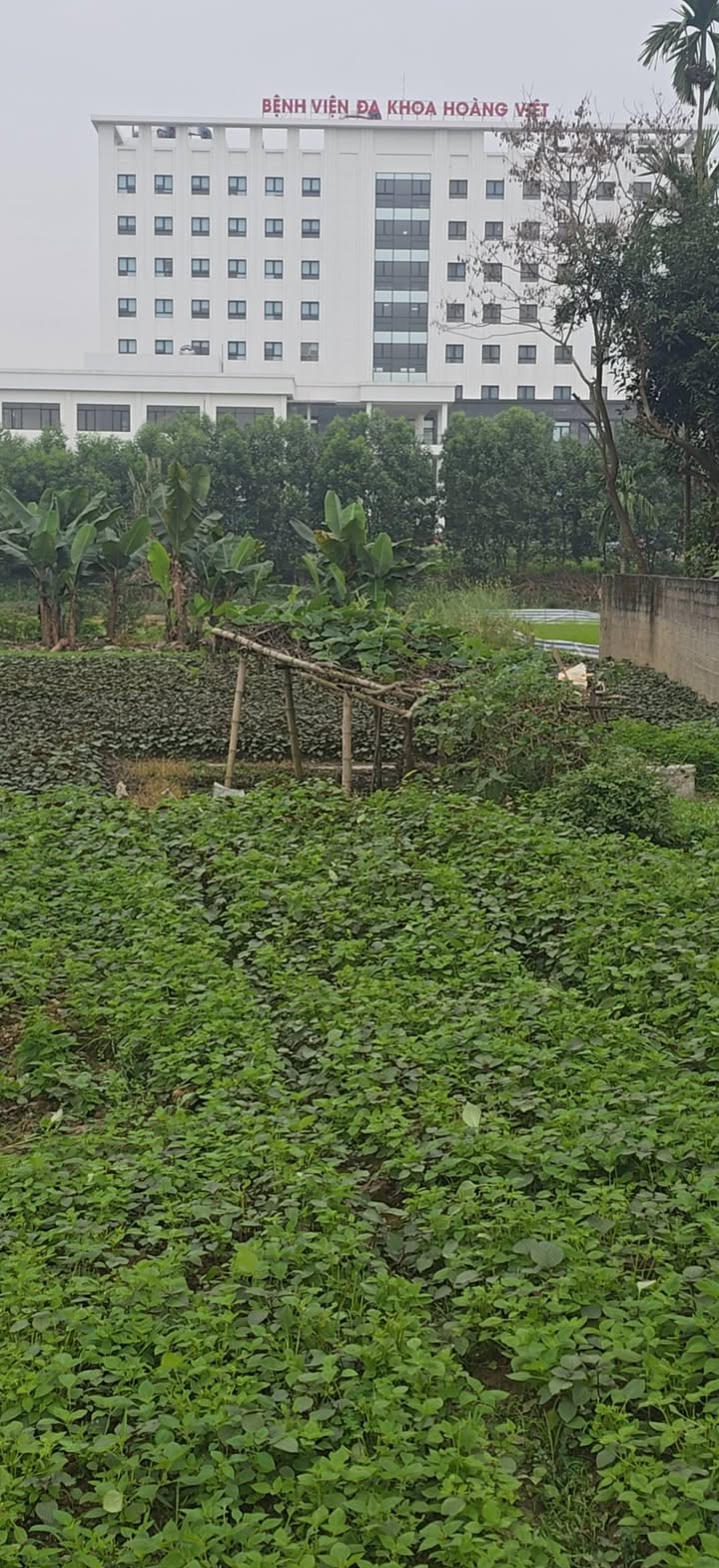 Đất thổ cư 80m² Ngọc Kinh, Hà Giang - Hơn 2 tỷ, gần trung tâm