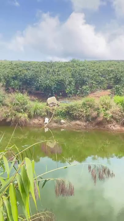 Đất Nền 2.8ha Lộc Ngãi, Bảo Lâm - 2 Mặt Đường Xe Lớn, Giá Đầu Tư