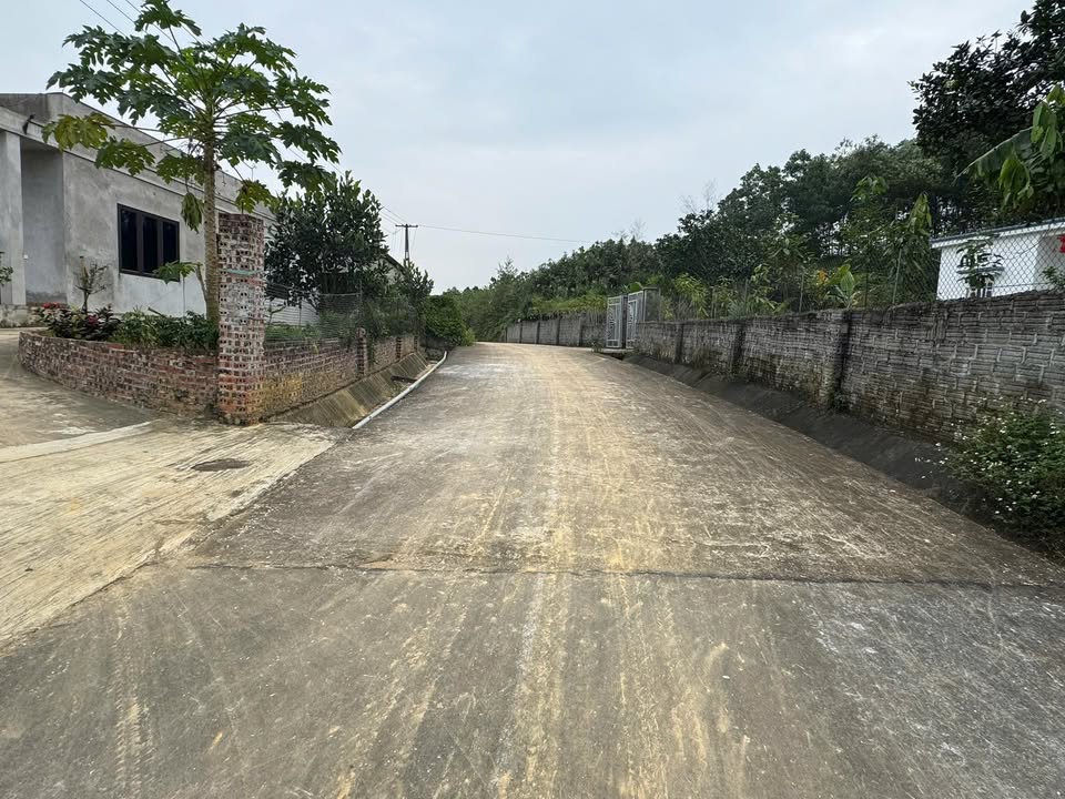 Đất nền Xã Yên Lập, Vĩnh Phúc 175m² - Thổ cư 100%!