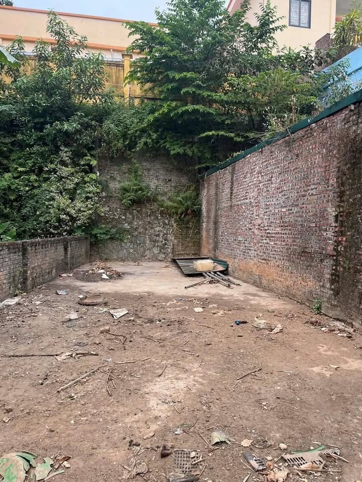 Đất Sổ Đỏ Vĩnh Phúc 135m² View Sông Thoáng Mát - Giá 2.5 Tỷ