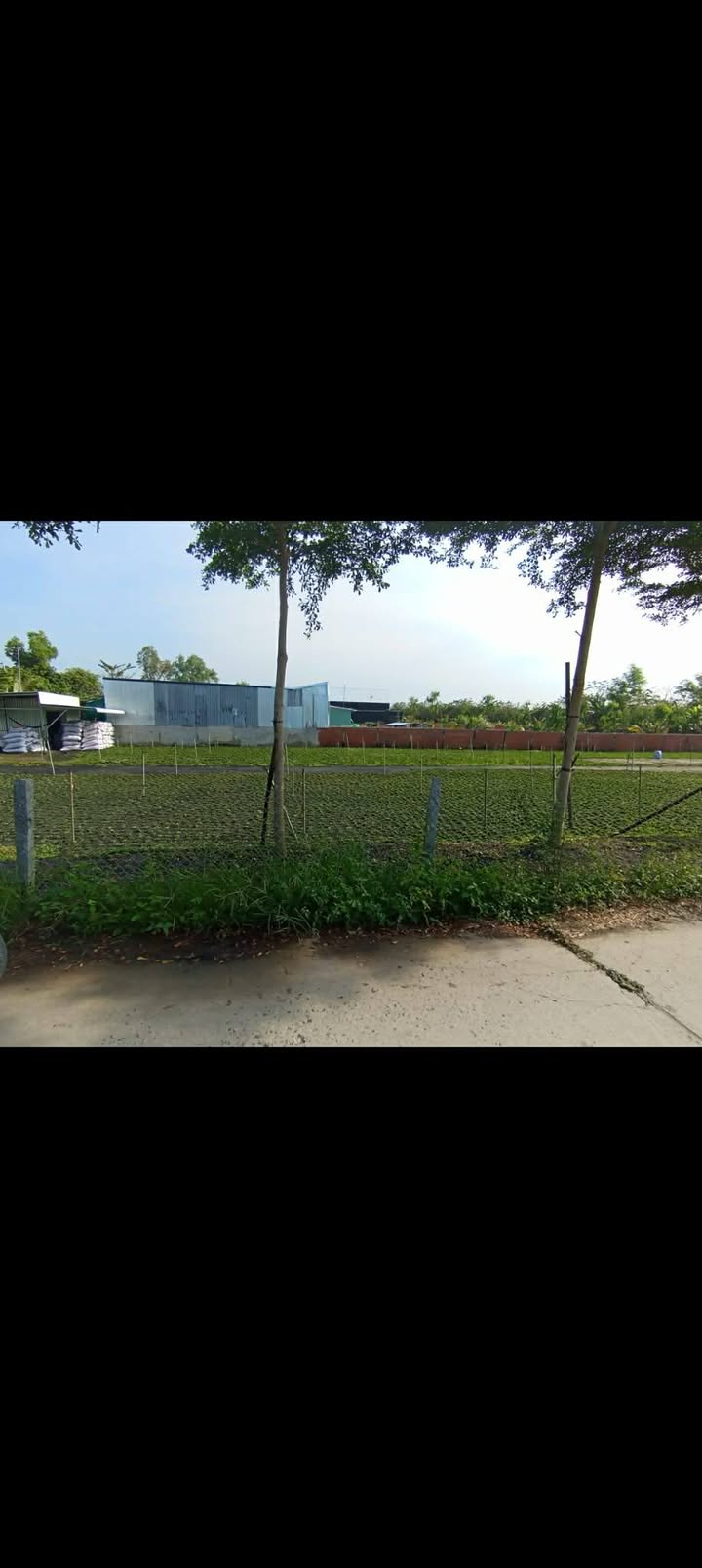 Đất nền Châu Thành 130m² - Sổ đỏ chính chủ, ô tô vào tận nơi!