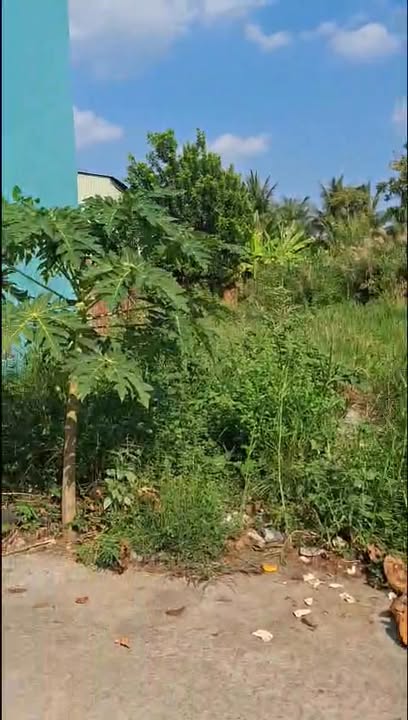 Bán Đất Nền 88m² Phường 1 Cai Lậy - Sổ Hồng Thổ Cư, Giá 1.2 Tỷ