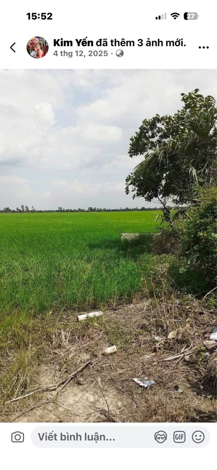 Đất Vườn 7 Công Tại Thanh Mỹ, Đồng Tháp - Mặt Tiền Kênh 36m - Giá Đầu Tư 2.9 Tỷ