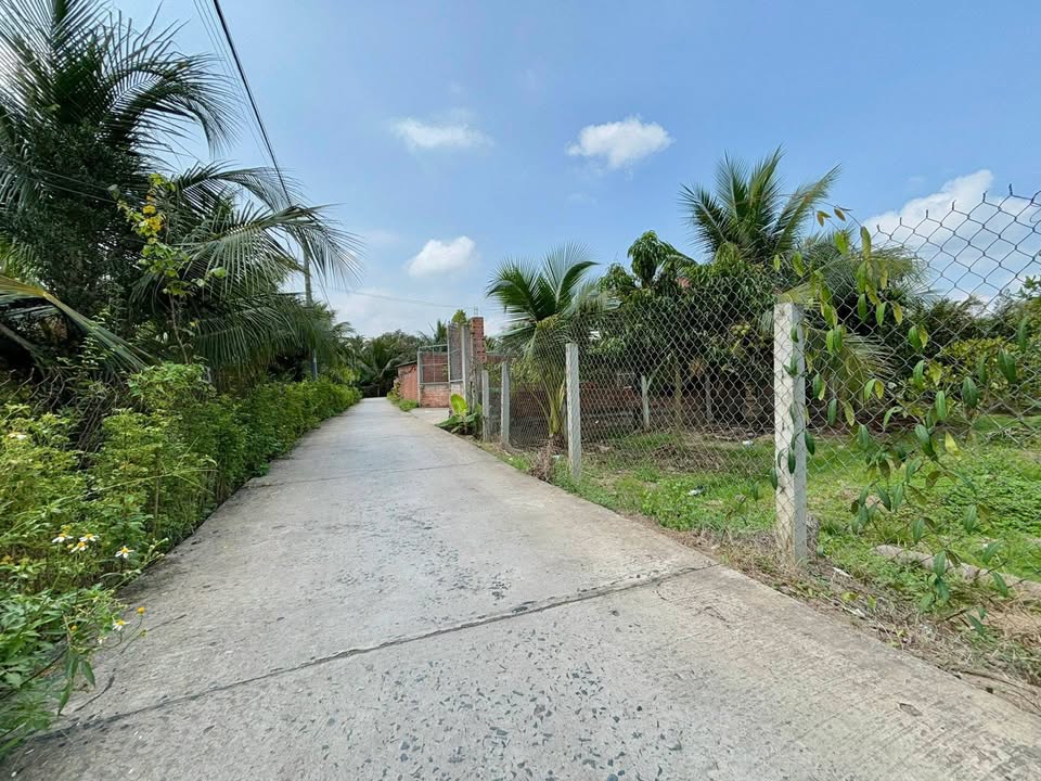 Bán Đất Vườn Cây Ăn Trái 986m² - Long Hưng, Châu Thành, Tiền Giang - Giá 1.19 Tỷ