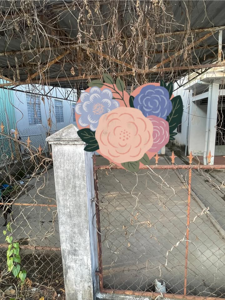 Bán Đất Mặt Tiền Võ Văn Giáo, Cái Bè - 190.7m² Sổ Hồng Riêng