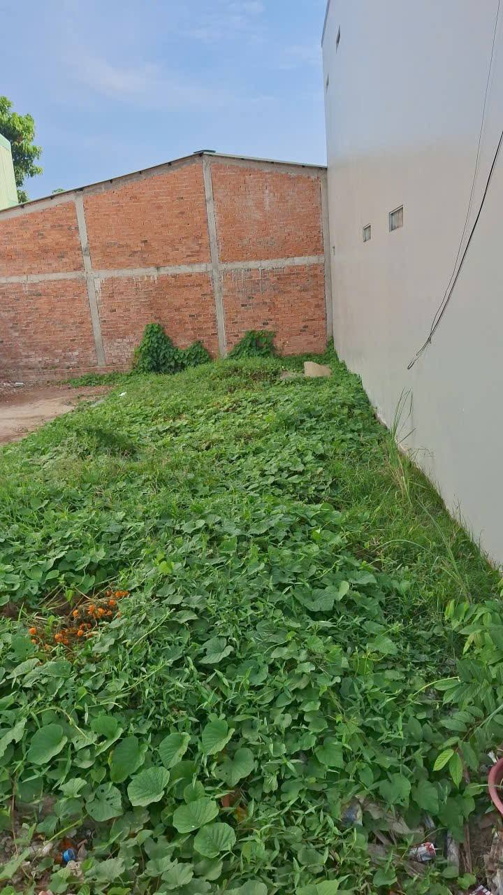 Đất Nền Mặt Tiền Cai Lậy 85m² Giá 2.5 Tỷ - Đường to ô tô