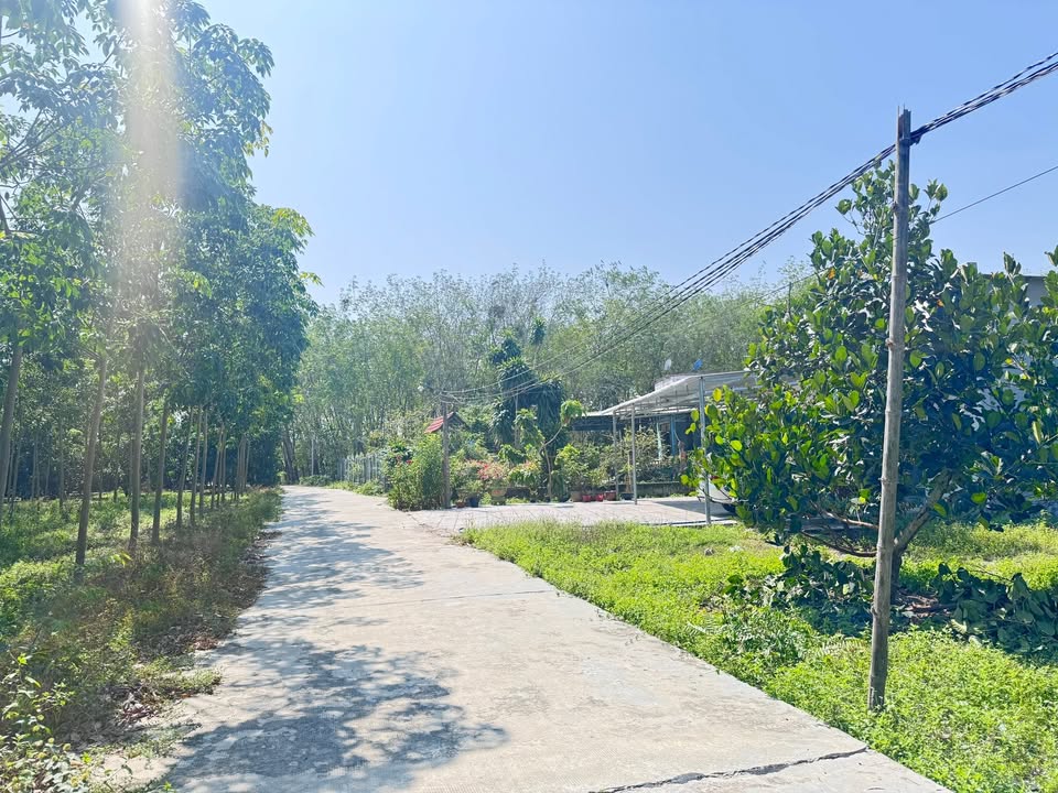 Đất nền Minh Hưng, Bình Phước - 275m² - Giá dưới 400 triệu/lô