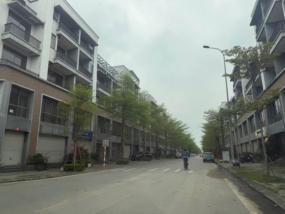 Shophouse TMS Vĩnh Yên 100m² - Căn góc 2 mặt tiền, đầu tư sinh lời!