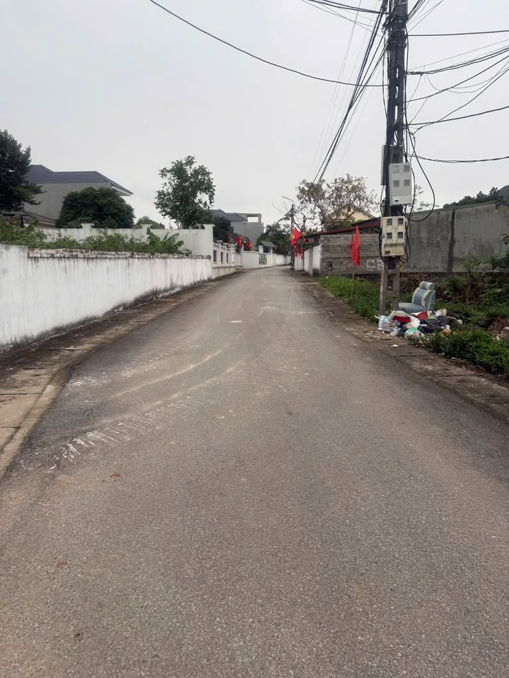 Đất nền Thanh Vân, Tam Dương 138m² chỉ 1 tỷ - Đường to ô tô