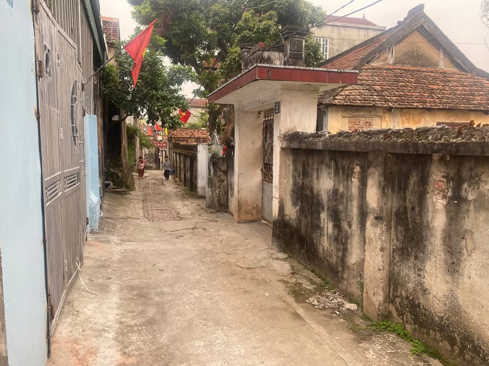 Đất Tả Thanh Oai, Thanh Trì - 100m² Nở Hậu, Đường Thông, Giá Hơn 2 Tỷ