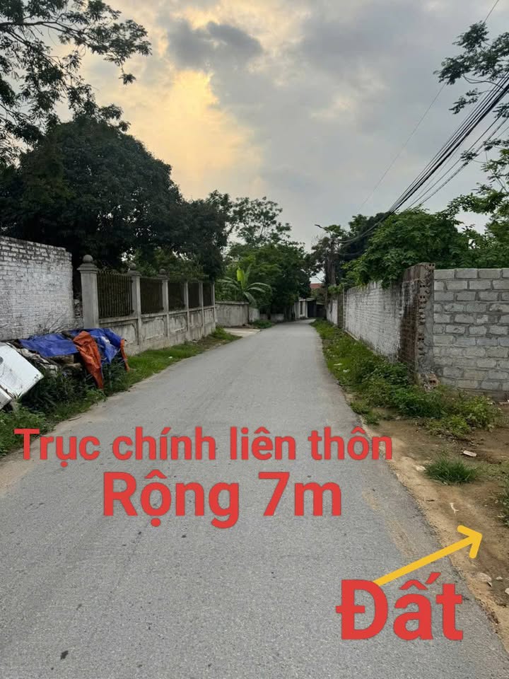 Đất nền Thôn 9 Hoàng Hoa Tam Dương 750m² - 2 Mặt Tiền, Đường Lớn Ô Tô!