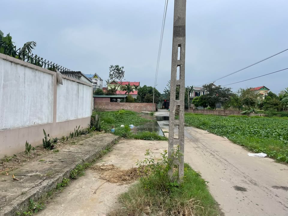 Đất nền Tam Dương, Vĩnh Phúc 1800m² - Tiềm năng tăng giá vượt trội!