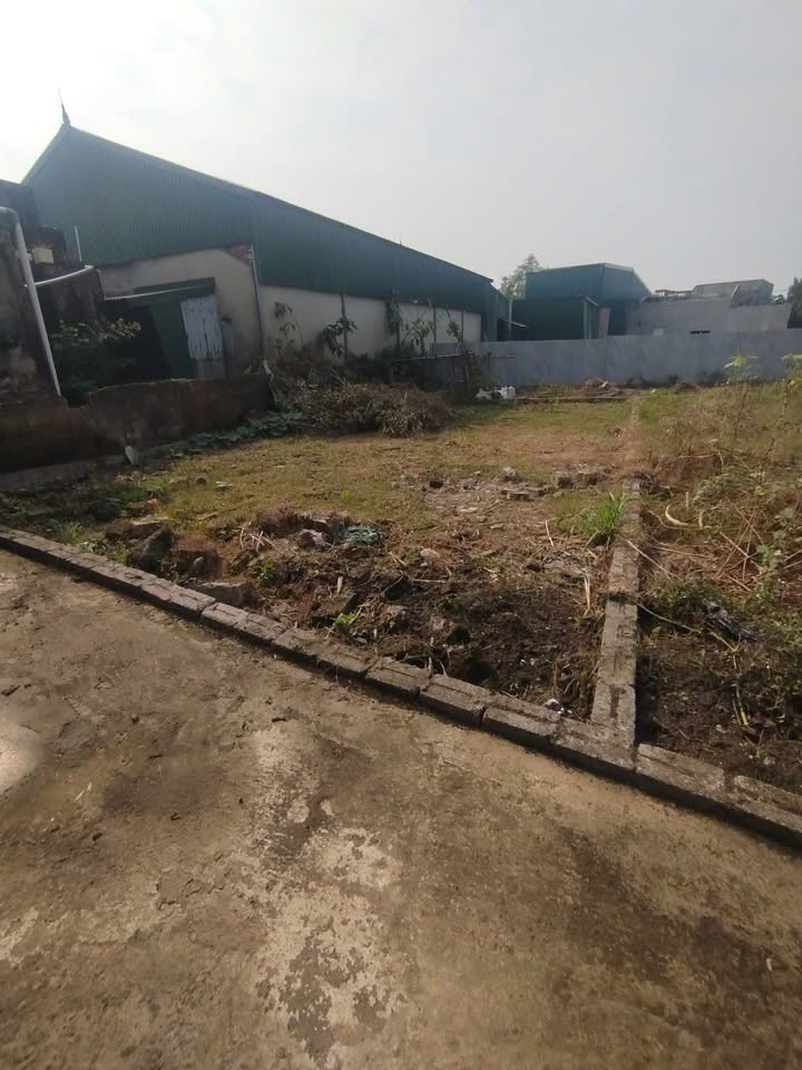 Đất Nền Phú Xuyên 80.7m² - Sổ Đỏ Sẵn Sàng, Giá Đầu Tư 2.3 Tỷ