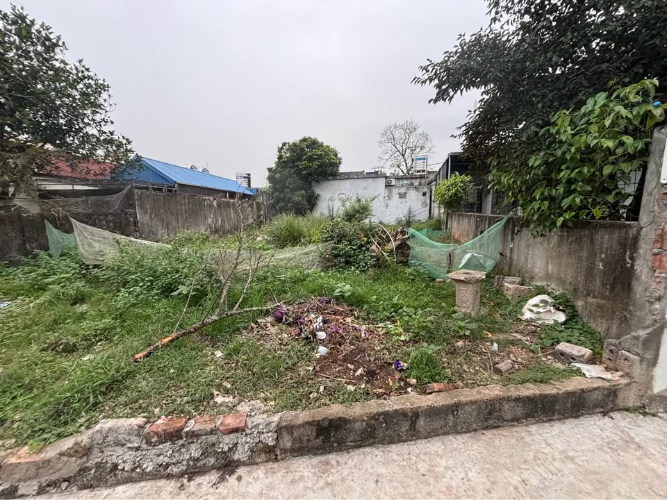 Đất Xây Thoáng 116.4m² - Ô Tô Tận Nơi - Mỹ Lộc, Nam Định