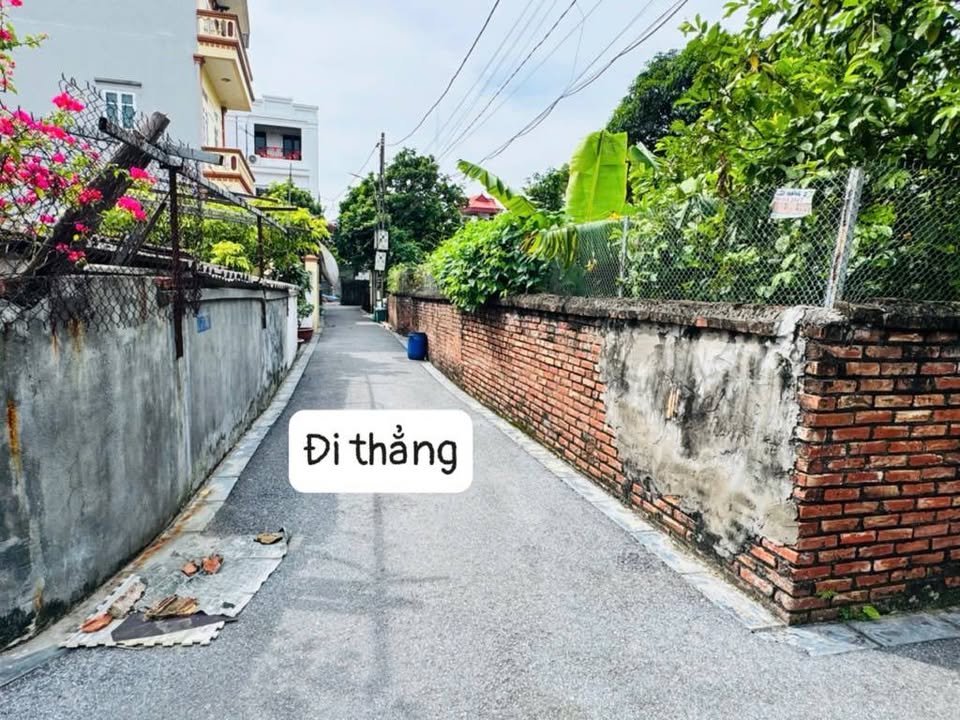Đất nền Lộc Hà Mai Lâm Đông Anh 45m² 5 tỷ - Tiềm năng tăng giá!