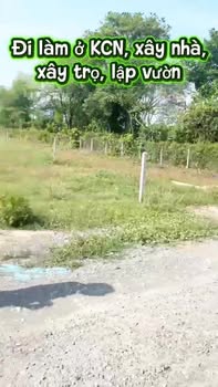 Đất nền Ấp Phước Hòa, Gò Dầu 230m² - Sổ đỏ chính chủ!