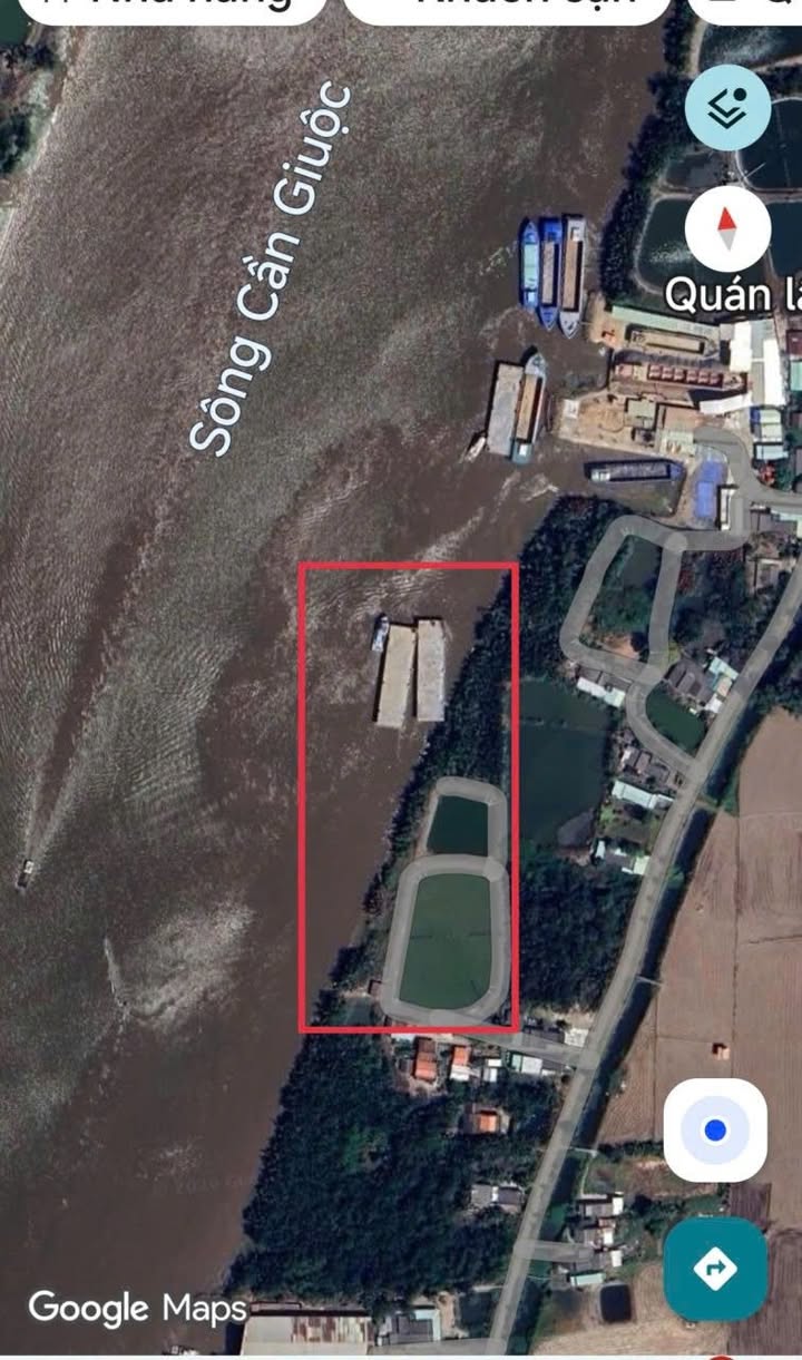 Bán Đất Vườn 5500m² Ven Sông Cần Giuộc - Không Gian Nghỉ Dưỡng Lý Tưởng