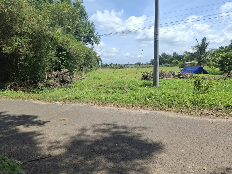 Đất Nền Mặt Tiền Chu Văn Liên, Dương Minh Châu, Tây Ninh - 980m²