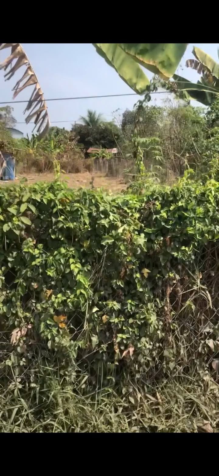 Bán Đất Lộc Vĩnh, Trảng Bàng 380m² - Sổ Hồng Sẵn Sàng