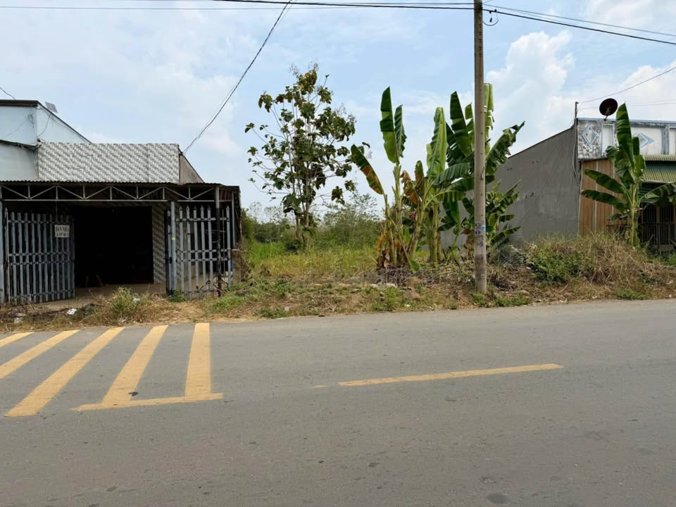 Đất nền Thanh Sơn, Long Thành 93m² - Sổ đỏ chính chủ, kinh doanh ngay!