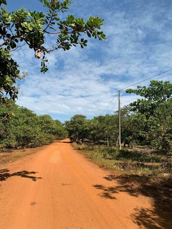 Đất nền 5ha Ấp 2 Đồng Phú Bình Phước - Sổ đỏ chính chủ!