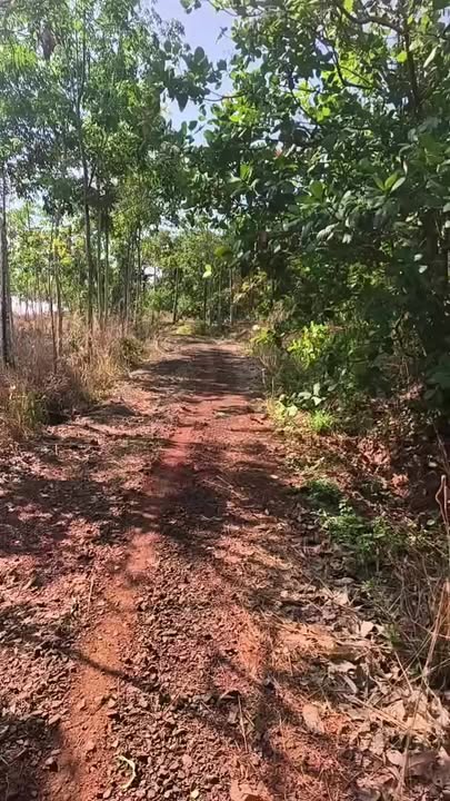 Đất nền Nghĩa Trung, Bù Đăng 1.8ha - Tiềm năng tăng giá vượt trội