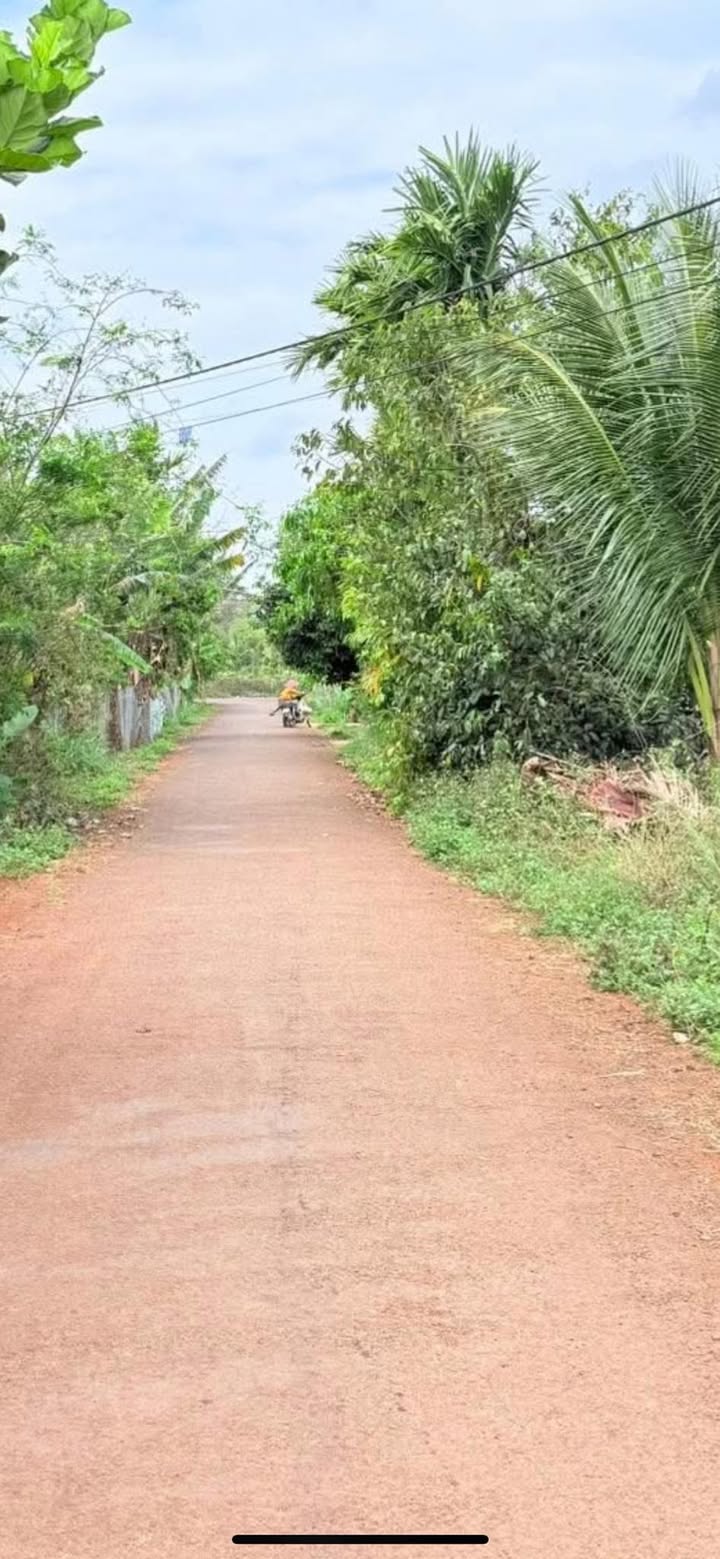 Đất Nền Buôn Ma Thuột - 276m² Sổ Đỏ, Ngay Cao Tốc