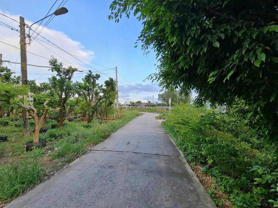 Đất nền 124m² gần Cầu Sa Đéc 2, TP Sa Đéc - Sổ hồng chính chủ, giá 1.05 tỷ