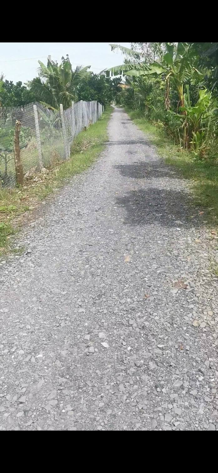 Đất nền Tân Phước, Tân Hồng 3000m² - Sổ đỏ chính chủ