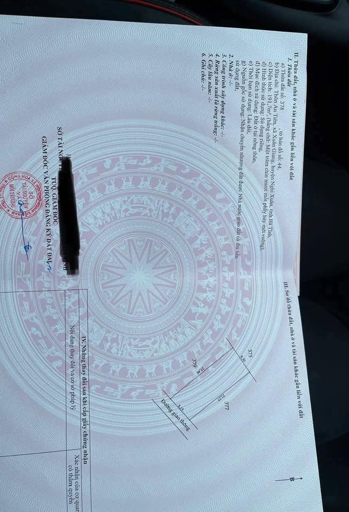 Đất đấu giá An Tiên - Tân Kỳ 195.6m² full thổ cư, giá 1.9 tỷ