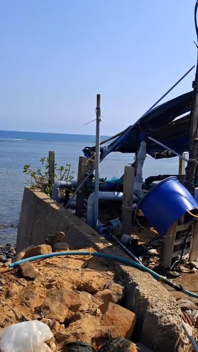 Đất nền 600m² Bình Hải, Quảng Ngãi - Sổ đỏ, gần biển Gành Yến