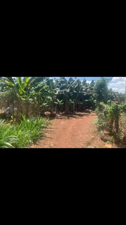 Đất nền Bàu Hàm, Thống Nhất 21.000m² - Pháp lý rõ ràng, tiềm năng sinh lời!