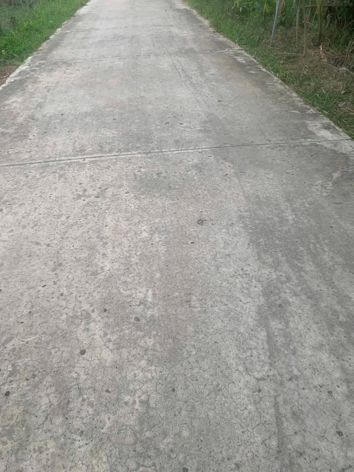 Bán Đất Vườn 1500m² Mặt Tiền Lộ Đan Mỹ Chánh, Bến Tre - Giá 1.3 Tỷ