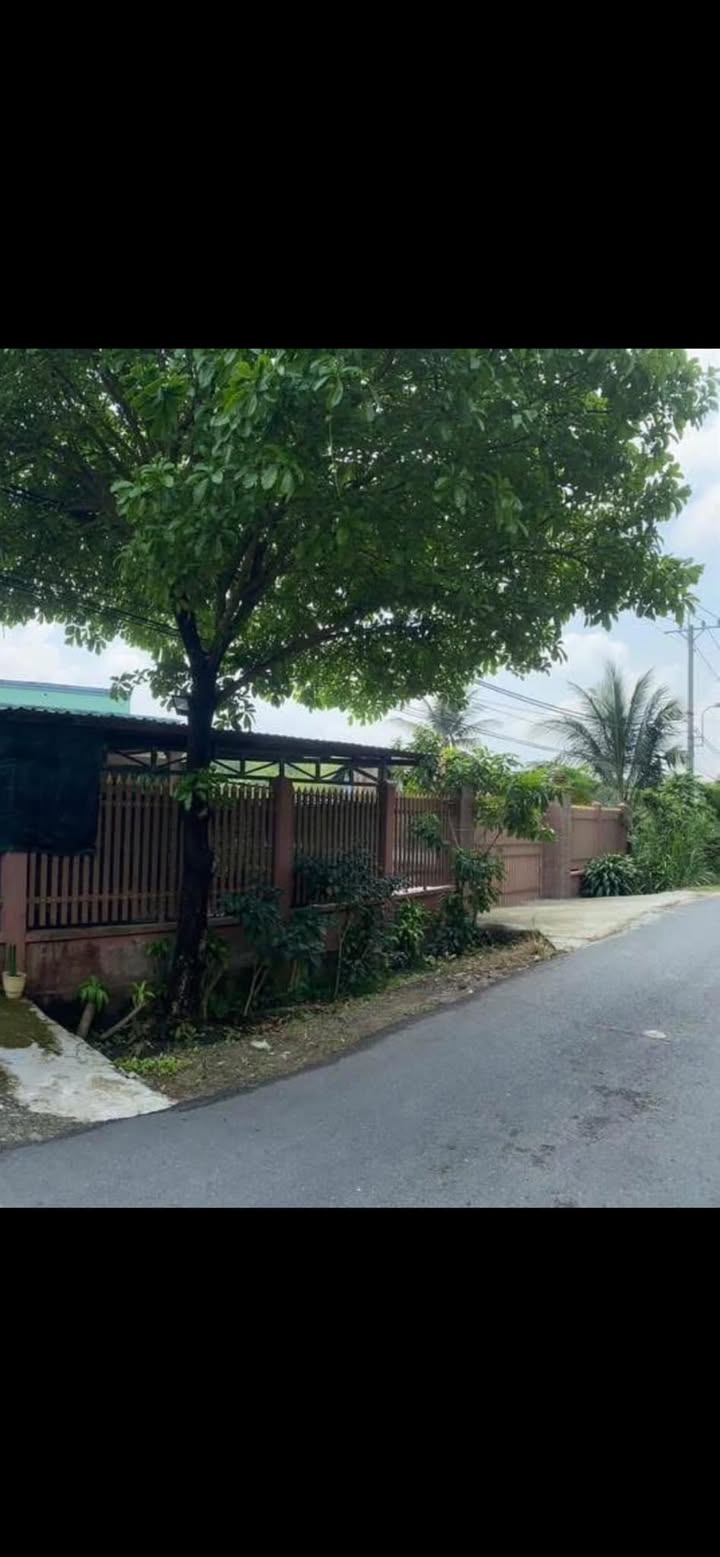 Bán Gấp Nhà Vườn 3130m² Củ Chi - Đường Nhựa Thông, Sổ Thổ Cư